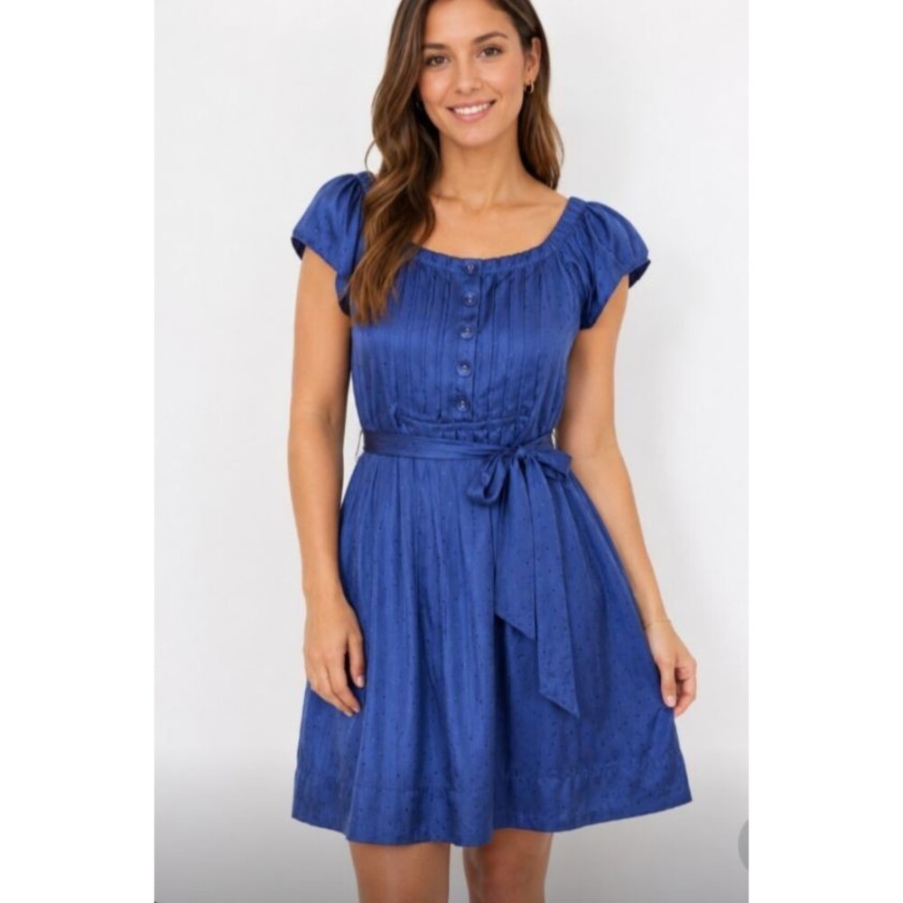 Banana Republic 100% Silk Empire Waist Milkmaid Blue Flowy Dress size 4